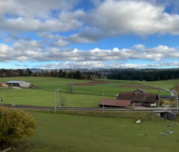 Appartement chaleureux de 3 pièces à louer - Photo 4