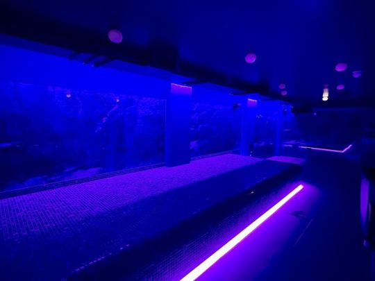 Flat share to rent - Photo 1