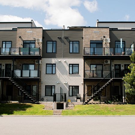 1 Bedroom + Den - 15 Chem. Morley-Walters, Gatineau - Photo 4