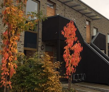 Edwin Berlings gata 44C - Photo 1