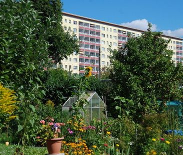 Mit Blick ins Grüne gelegene 2-Raum-Wohnung mit Balkon - Foto 2