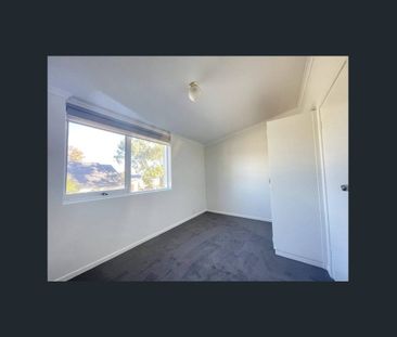 Modern & Convenient Living in the Heart of Box Hill - Photo 5