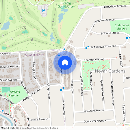78 Pine Avenue, 5040, Novar Gardens