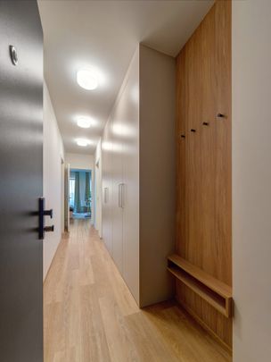Apartment for rent, 1+KK - Studio, 40m - Photo 1