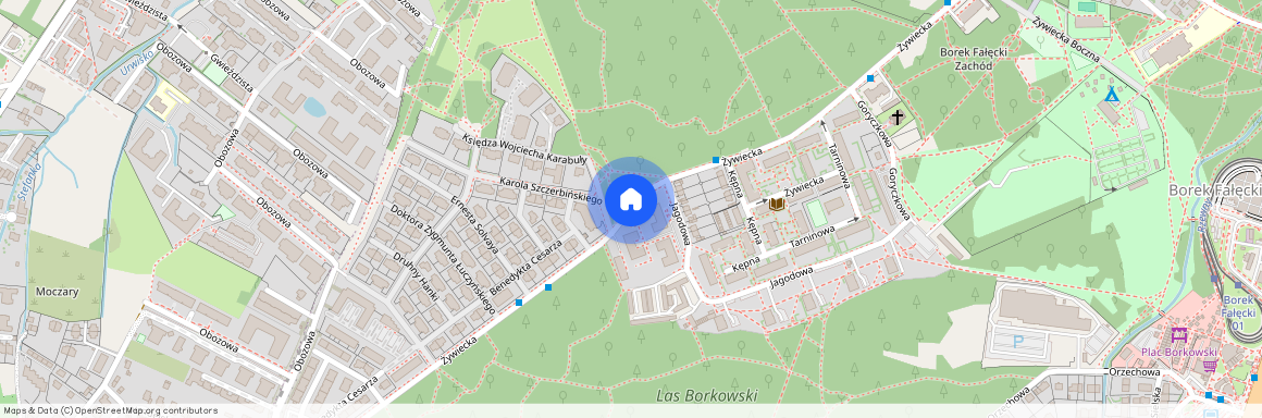 ul. Żywiecka, Borek Fałęcki, Łagiewniki-Borek Fałęcki, Kraków, małopolskie