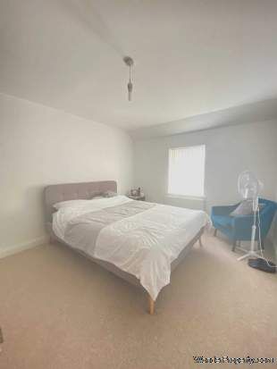 2 bedroom property to rent in St Neots - Photo 3