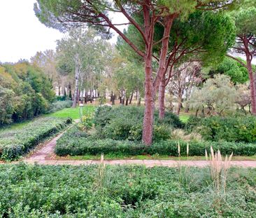 Location Appartement 1 pièce 20m² LA GRANDE MOTTE 34280 - Photo 1