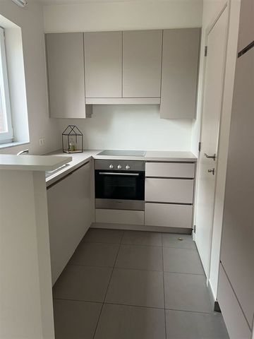 Appartement te LEUPEGEM (9700) - Photo 4