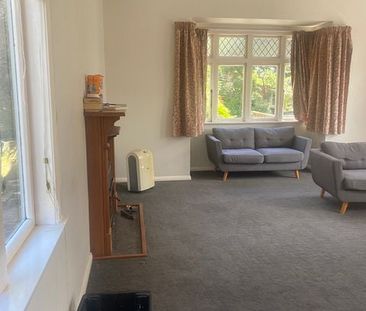 Renovated 4-Bedroom Home in Sunny Location - Photo 3