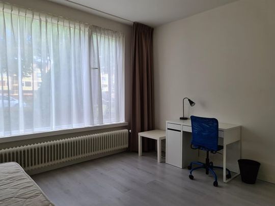 Te huur: Kamer Dr Cuyperslaan in Eindhoven - Foto 1