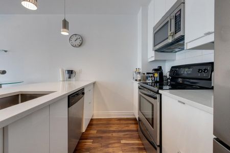 Appartement à louer - Montréal (Le Plateau-Mont-Royal) (Le Plateau-Mont-Royal) - Photo 5