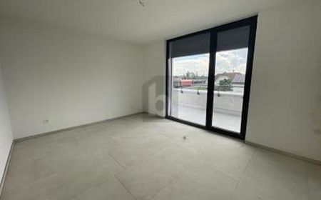 Wohnung in Niederbipp - Photo 3