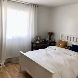 Québec, secteur Beauport, 4 1/2 frais peint, rénové - Photo 2