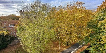 Appartement te huur in Kortrijk voor € 650 met 1 slaapkamer - Photo 2