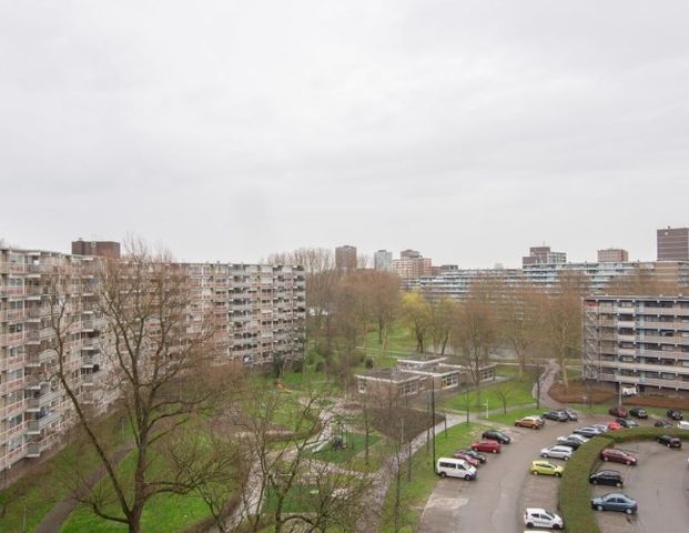 Apartment Zoetermeer - Jonkerbos - Foto 1