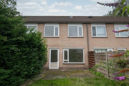 Zeisteroever, 50, Zeist - Foto 4