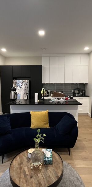 Plateau - Superbe Loft 3 1/2 Rénové - Photo 1