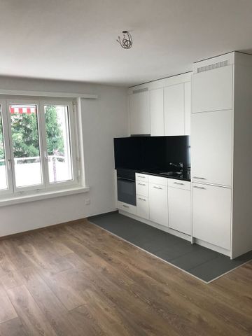 Zentrale Wohnung - Nähe Sternen Oerlikon - Foto 5
