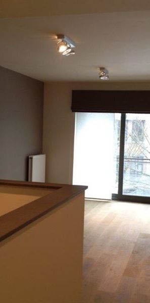 Furnished apartment in het centre of Brussels - Photo 1