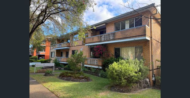 Spacious Newly Renovated Apartment in Prime Allawah Location - Photo 1