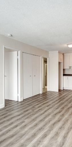 Appartement 3 ½ à louer Sainte-Foy / Sillery juillet 2026 - Photo 1