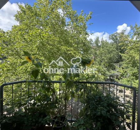 Helle 2-Zimmer Wohnung, teils möbliert im Herzen von Kaiserslautern - Foto 4