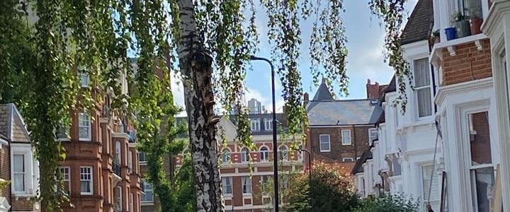 Bedsit, Sumatra Road, NW6 - Photo 1