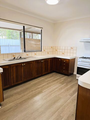 Huge Yard - Secure Fencing - Photo 4