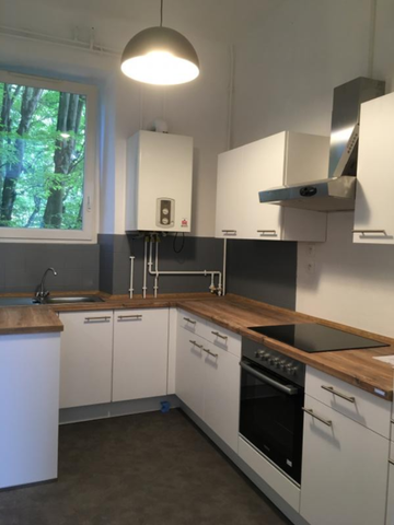 Location Appartement 1 pièce 30m² SARREGUEMINES 57200 - Photo 4