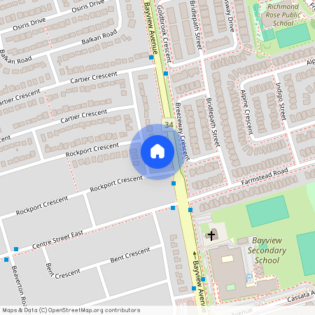 29 Tormore Drive, Richmond Hill