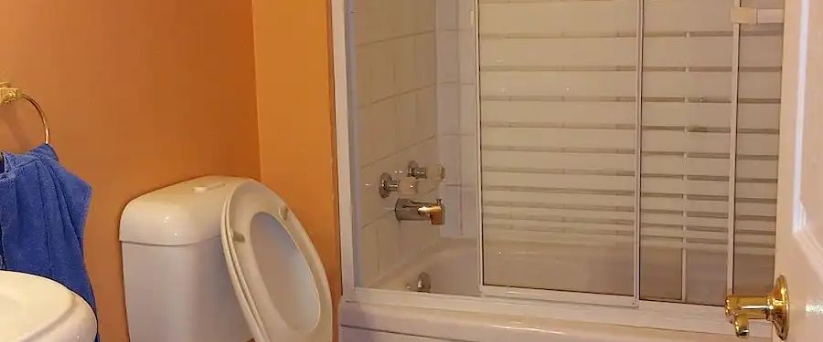 One furnished room in 3 bedroom walk out — 1 Bedroom Room For Rent - Photo 1