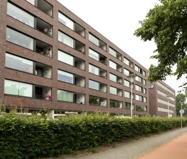 Appartement au rez-de-chaussée Doornboslaan, Breda - À louer - Photo 2