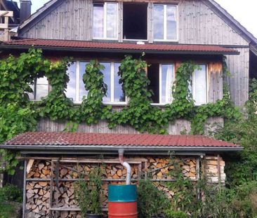 2.5 Zimmer, 47 m², 1. Stock - Photo 6