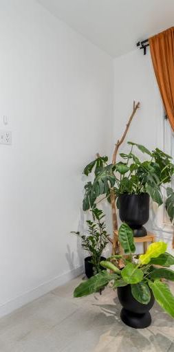 Appartement 3 ½ à louer Montcalm / Saint-Sacrement janvier 2026 - Photo 1