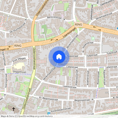 De Laares, 7514 ED, Minkmaatstraat, Enschede