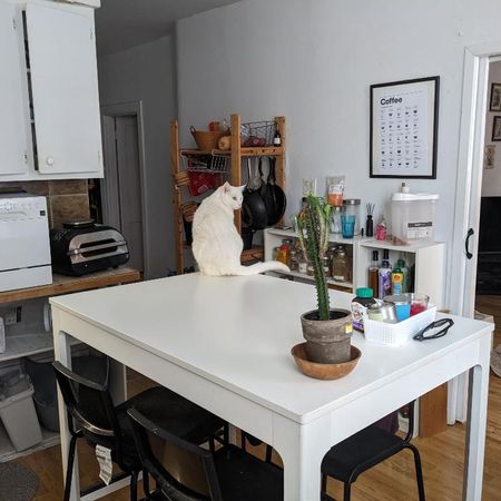 6 1/2 Hochelaga cession de bail - Photo 4