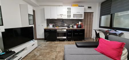 REMETEA RESIDENCE: one room apartment for rent at 7 minutes by feet to the University of Medicine and Pharmacy and the University of Agricultural Sciences and Veterinary Medicine - Fotografie 4