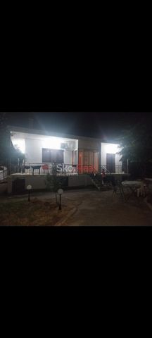 ΕΝΟΙΚΙΑΣΗ- ΚΑΤΟΙΚΙΑΣ- ΑΓΙΑ ΤΡΙΑΔΑ ΘΕΡΜΑΪΚΟΣ- ΜΟΝΟΚΑΤΟΙΚΙΑ 120 ΤΜ- ΕΠΙΠΛΩΜΕΝΗ-ΣΕ 800 TM ΟΙΚΟΠΕΔΟ-2 ΠΑΡΚΙΝΓΚ - Photo 5