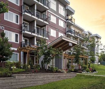 1bd 1ba, Refrigerator, In Nanaimo - Photo 1