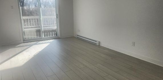 2 CH - 1 SDB - Longueuil - $1,400 /mo - Photo 2