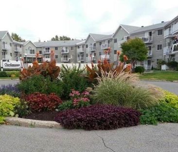 Charmant petit condo 3 et demi, piscine, gym, rez de chaussée, accè... - Photo 3