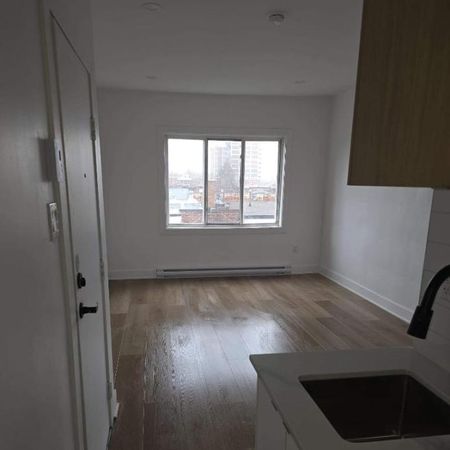 1 CH - 1 SDB - Montréal - $1,190 /mo - Photo 4