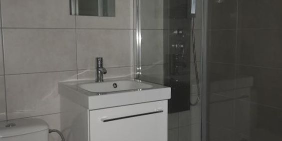 Location Appartement 1 pièce 24m² BREST 29200 - Photo 3