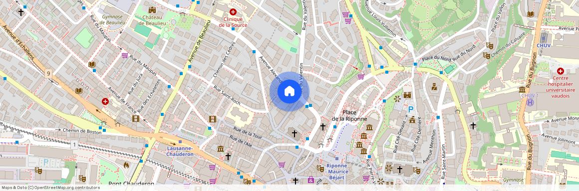 Avenue Alexandre-Vinet 7, 1004, Lausanne