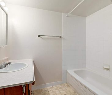 Renovated Suite - 1 Bedroom - Photo 4