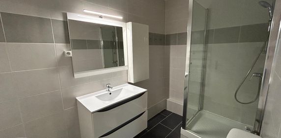 Location Appartement 1 pièce 25m² STRASBOURG 67100 - Photo 2