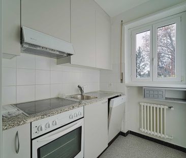 ACCOGLIENTE 3.5 LOCALI CON GRANDE TERRAZZO - Foto 5