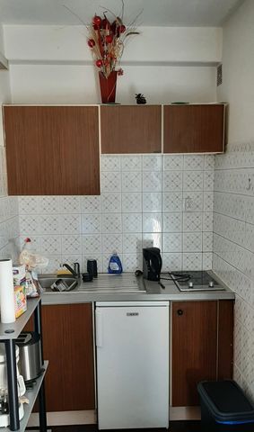 Studio 19.05 m² - 1 pièce - Amélie-Les-Bains-Palalda (66110) - Photo 4