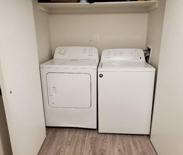 For Lease - 100 Steeles Avenue Unit# (Basem), Markham, Ontario - Photo 6