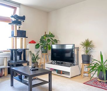 Haagstraat 36 1 - Photo 3